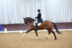 SBM_002595