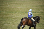 BVHT 140517  IXC -555