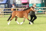 SBM_00447