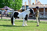 SBM_11690