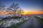 z3973 Icy Evening, Ventnor Down