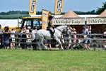 SBM_15365