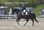 BPP_6599
