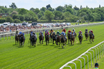 230526-Race 1-Lord Roxby-0255