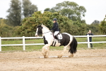 SBM_001841