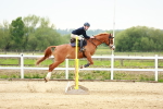 SBM_009090