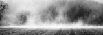 FOG ALONG THE GRAND #1 - BRANT COUNTY