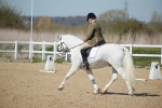 SJ3_1187