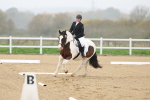 SBM_000619