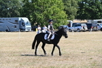 WJ6_8374