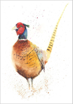 Limited print of CHEEKY PHEASANT watercolour 200