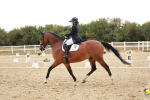 SBM_006856