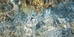 SPLASH #7- BRUCE COUNTY