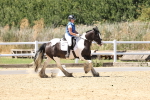 SBM_002528