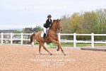 BPP_4557
