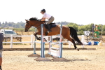 SBM_000971