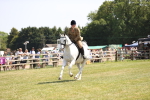 SBM_16120