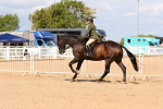 SBM_13499