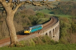 2.5.07 Unidentified 142 Leeds - Carlisle, Smardale Viaduct