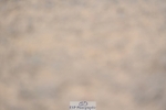 230811-101641-00234