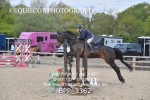 BPP_3362
