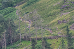 Wasdale-2