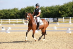 SBM_008325