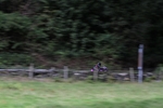 FOM_0731