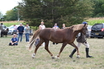 WJ6_6684