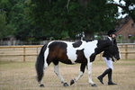 WJ6_7830