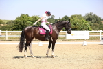 SBM_004061
