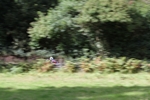 FOM_0670