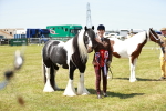 SBM_05528