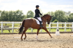 SBM_002603