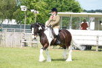 SBM_17289