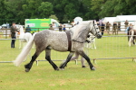 SBM_00467