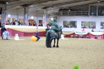SBM_10179