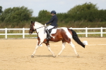 SBM_015684