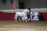 SBM_04925