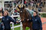 161125-Race 2-Kdeux Saint Fray-1307