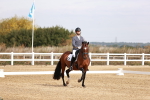 SBM_016956