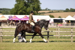 SBM_18743