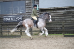 SBM_007967
