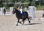 BPP_1381