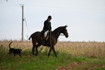 WJ6_9388