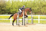 SBM_004968