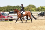SBM_002493