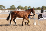 SBM_11774