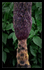 Palm Tree Trunk