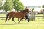 SBM_00616